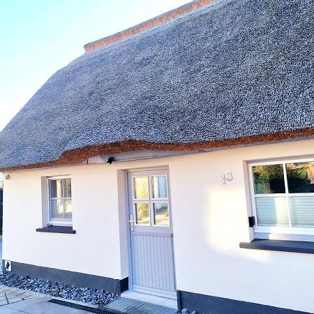 Villa Haus Findling Zingst Exterior foto